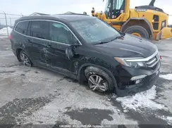 5FNYF6H86GB503364 2016 HONDA PILOT
