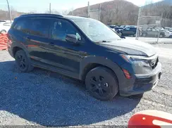 5FNYF6H89NB031447 2022 HONDA PILOT