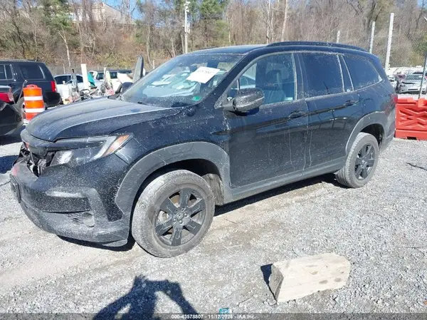 5FNYF6H89NB031447 2022 HONDA PILOT - Image 2