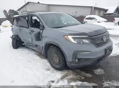 5FNYF6H8XNB503462 2022 HONDA PILOT