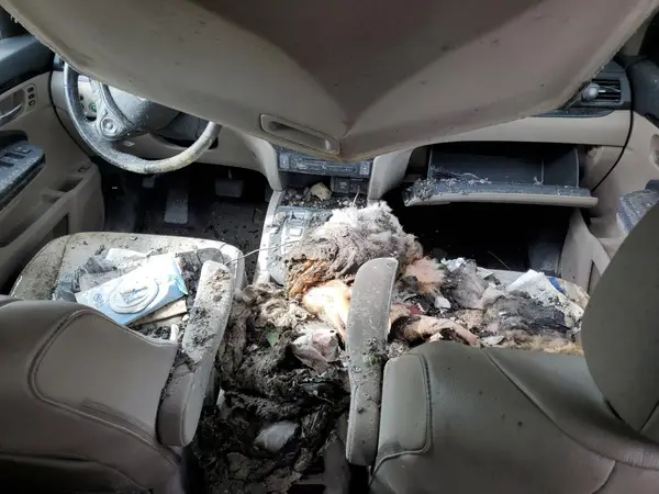 5FNYF6H92GB076581 2016 HONDA PILOT - Image 8