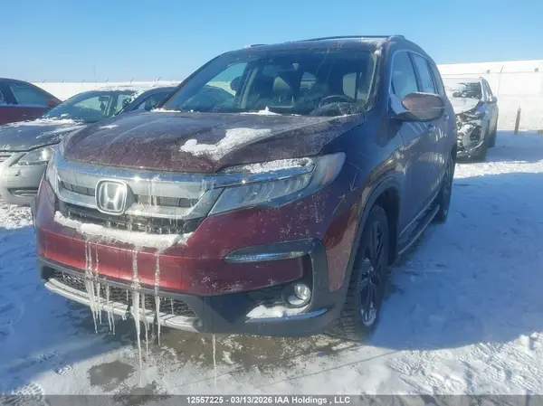 5FNYF6H97KB503469 2019 HONDA PILOT - Image 2