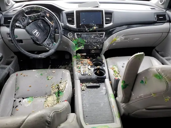 5FNYF6H98HB042517 2017 HONDA PILOT - Image 8