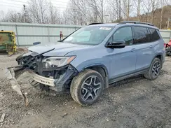 5FNYF8H00NB004501 2022 HONDA PASSPORT