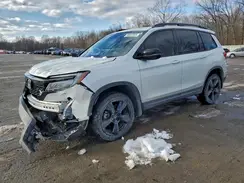 5FNYF8H04MB020389 2021 HONDA PASSPORT