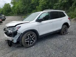 5FNYF8H07PB018088 2023 HONDA PASSPORT