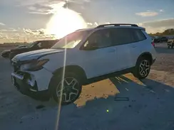 5FNYF8H09PB012549 2023 HONDA PASSPORT
