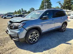 5FNYF8H09PB023373 2023 HONDA PASSPORT