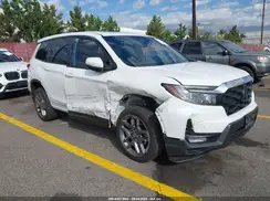 5FNYF8H50PB031566 2023 HONDA PASSPORT