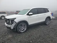 5FNYF8H50PB038291 2023 HONDA PASSPORT