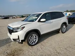 5FNYF8H50SB006479 2025 HONDA PASSPORT