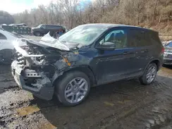 5FNYF8H50SB013190 2025 HONDA PASSPORT