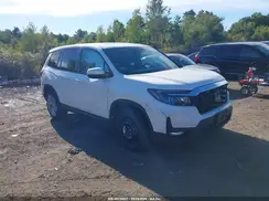 5FNYF8H51RB004394 2024 HONDA PASSPORT