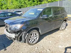 5FNYF8H51SB012713 2025 HONDA PASSPORT