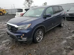 5FNYF8H52PB041791 2023 HONDA PASSPORT