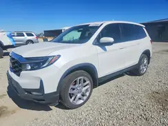 5FNYF8H52RB018482 2024 HONDA PASSPORT