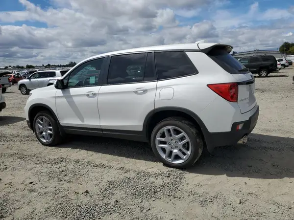 5FNYF8H52RB022709 2024 HONDA PASSPORT - Image 2