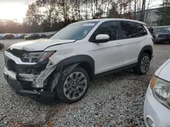 5FNYF8H52SB010324 2025 HONDA PASSPORT