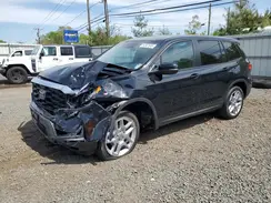 5FNYF8H53RB009113 2024 HONDA PASSPORT