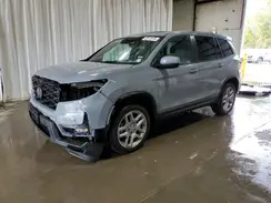 5FNYF8H53RB017793 2024 HONDA PASSPORT
