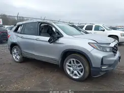 5FNYF8H53SB008775 2025 HONDA PASSPORT
