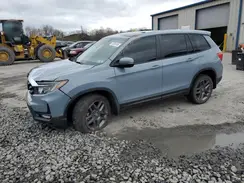 5FNYF8H54NB003573 2022 HONDA PASSPORT