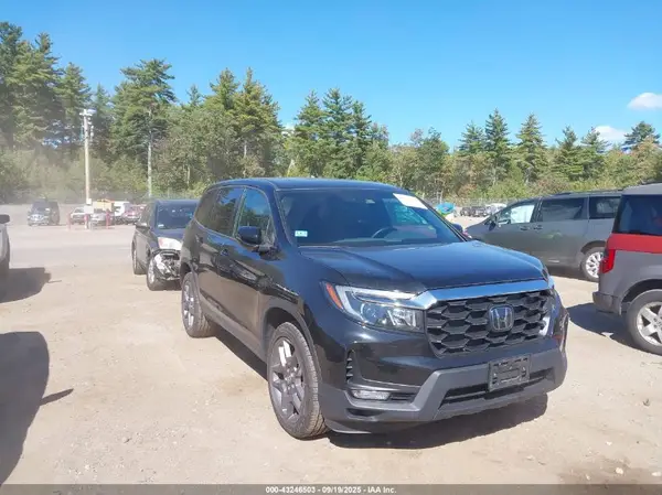 5FNYF8H54PB013071 2023 HONDA PASSPORT - Image 1