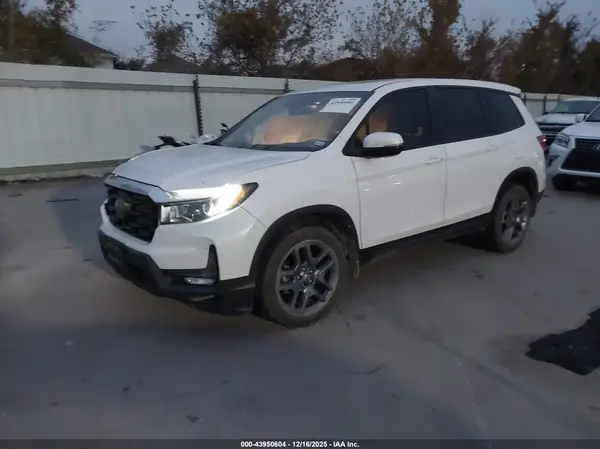 5FNYF8H54PB033577 2023 HONDA PASSPORT - Image 2