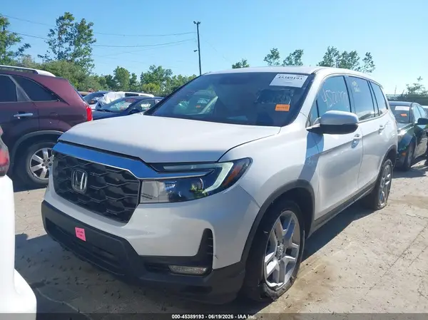 5FNYF8H54RB010075 2024 HONDA PASSPORT - Image 2