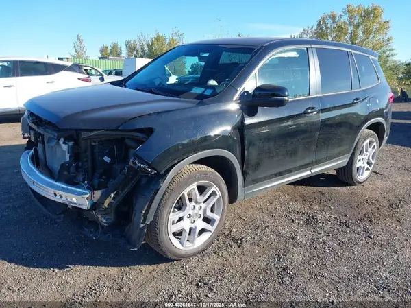 5FNYF8H54RB023893 2024 HONDA PASSPORT - Image 2