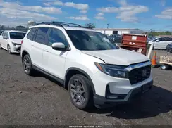5FNYF8H55PB016562 2023 HONDA PASSPORT