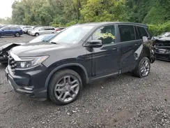 5FNYF8H55PB022183 2023 HONDA PASSPORT