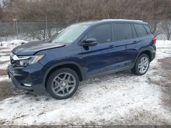 5FNYF8H55RB018184 2024 HONDA PASSPORT - Image 2