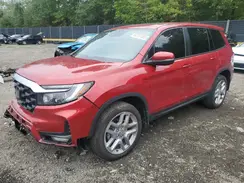 5FNYF8H55RB021988 2024 HONDA PASSPORT