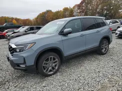 5FNYF8H56PB035007 2023 HONDA PASSPORT
