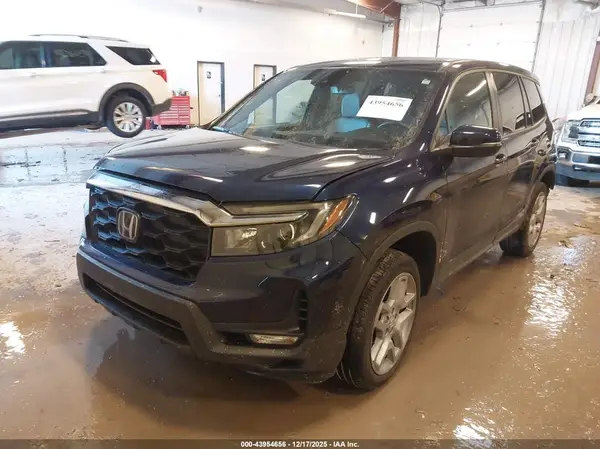 5FNYF8H56RB005539 2024 HONDA PASSPORT - Image 2