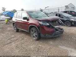 5FNYF8H57MB029163 2021 HONDA PASSPORT