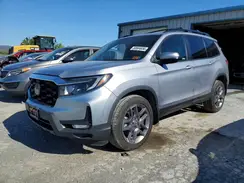 5FNYF8H57PB036036 2023 HONDA PASSPORT