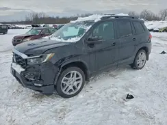 5FNYF8H57SB009203 2025 HONDA PASSPORT