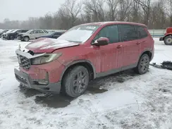 5FNYF8H58PB013848 2023 HONDA PASSPORT