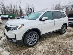 5FNYF8H58PB024154 2023 HONDA PASSPORT
