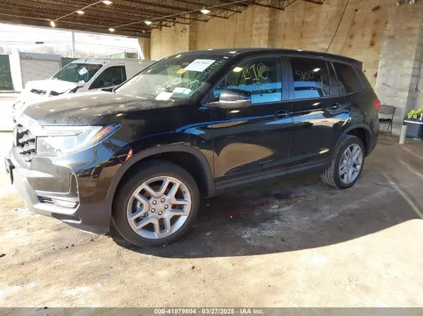 5FNYF8H58RB006109 2024 HONDA PASSPORT - Image 2