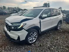 5FNYF8H58SB013681 2025 HONDA PASSPORT