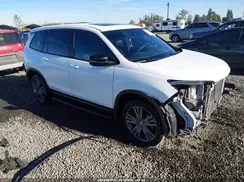 5FNYF8H59LB009981 2020 HONDA PASSPORT