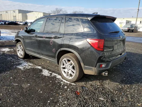 5FNYF8H59RB007690 2024 HONDA PASSPORT - Image 2