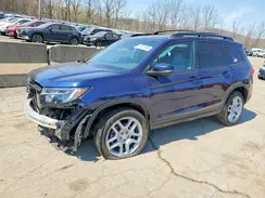 5FNYF8H59RB013375 2024 HONDA PASSPORT