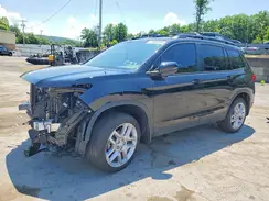 5FNYF8H59RB018978 2024 HONDA PASSPORT
