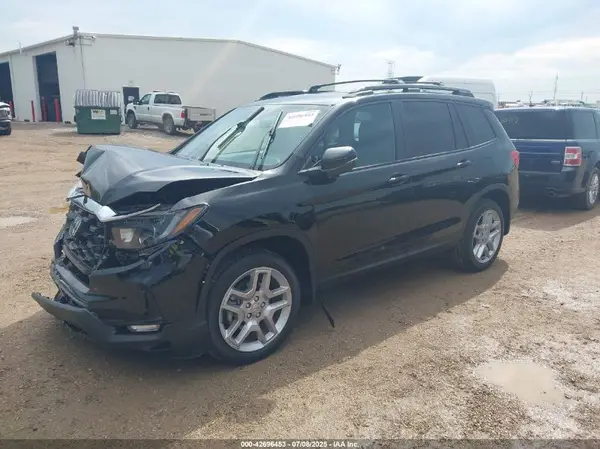 5FNYF8H59RB019595 2024 HONDA PASSPORT - Image 2