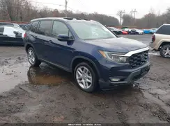 5FNYF8H59SB000020 2025 HONDA PASSPORT