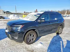 5FNYF8H60RB007926 2024 HONDA PASSPORT